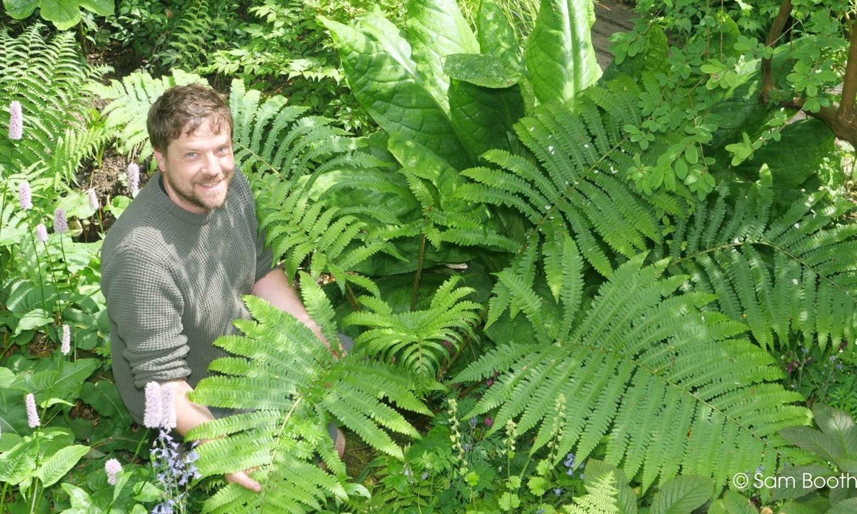 May meadows and spring showers | Perennial