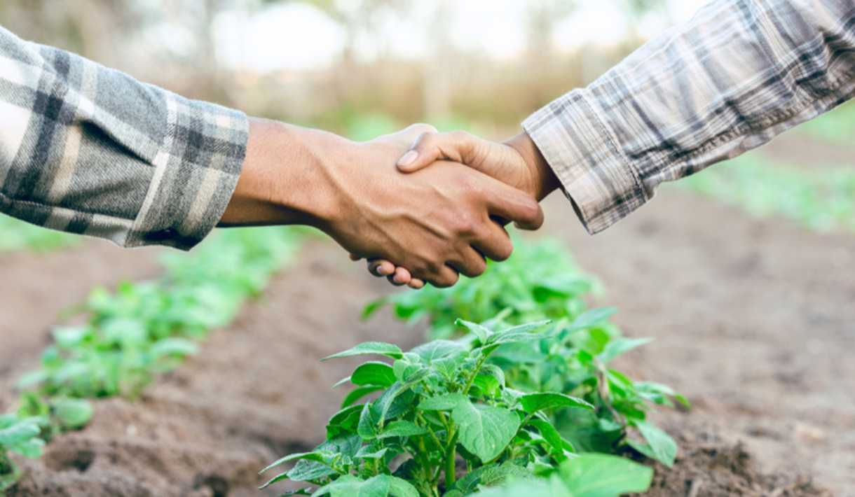 Perennial Partnership